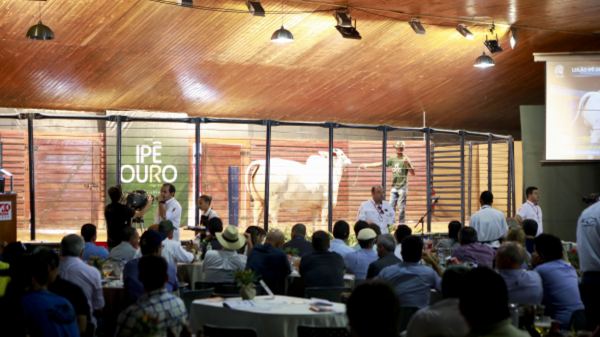 ExpoZebu 2018 supera expectativas e negócios ultrapassam R$176 milhões