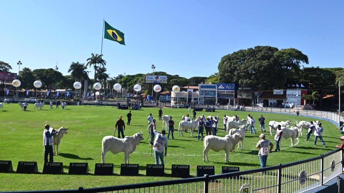 Confira a programação da 90ª ExpoZebu para esta quarta-feira (30)