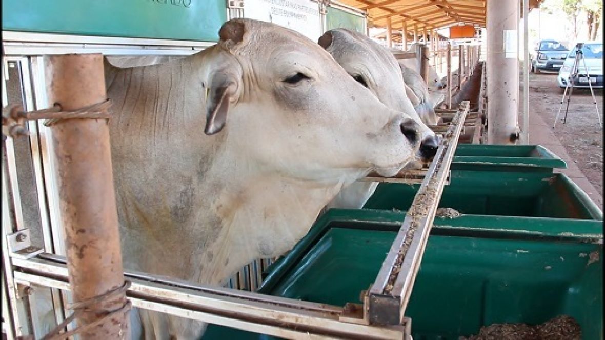 Candidatos do PNAT 2018 já estão disponíveis para consulta