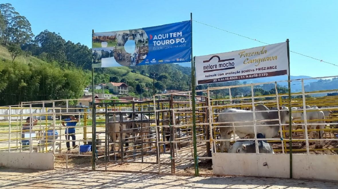 Confira a agenda de Feiras de Touros Pró-Genética de dezembro de 2022