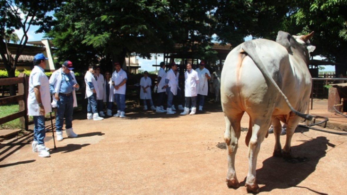 Roteiro de visitas técnicas 100% PMGZ incluiu CRV, IZ e CRI
