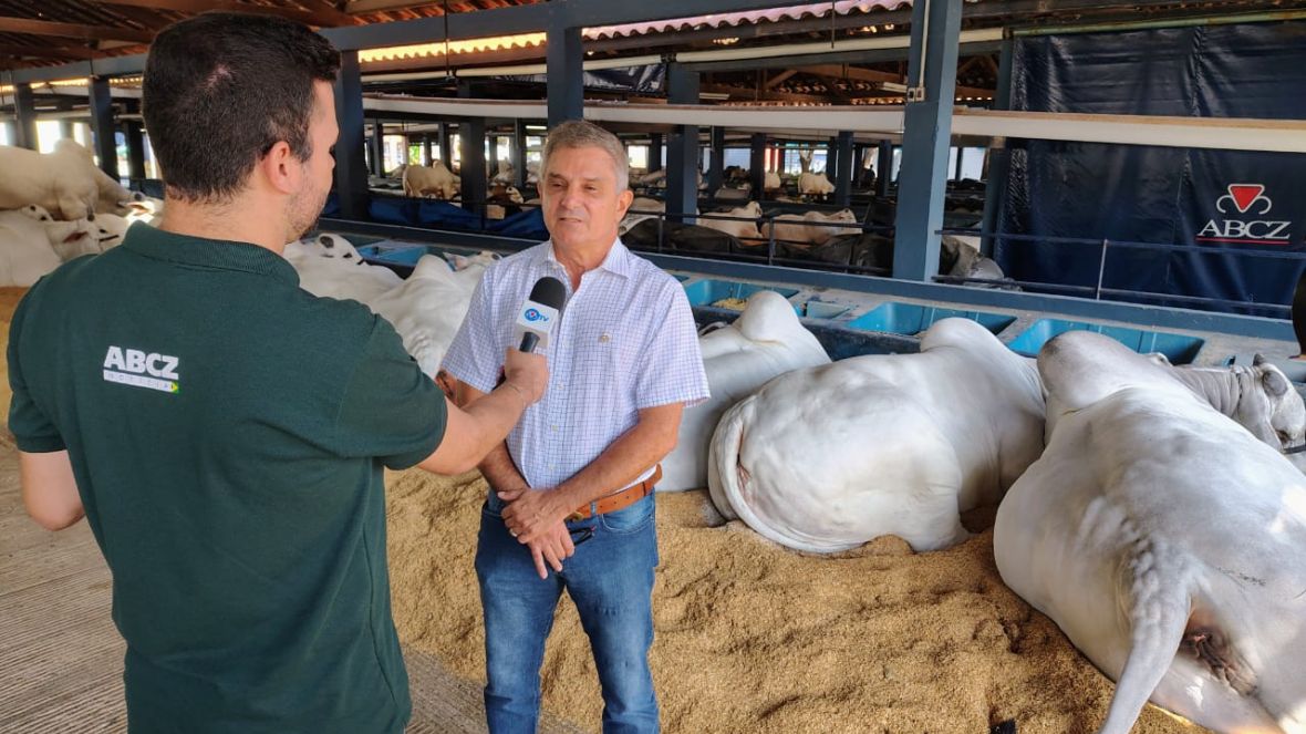 90ª ExpoZebu: 1.500 animais já estão no Parque Fernando Costa