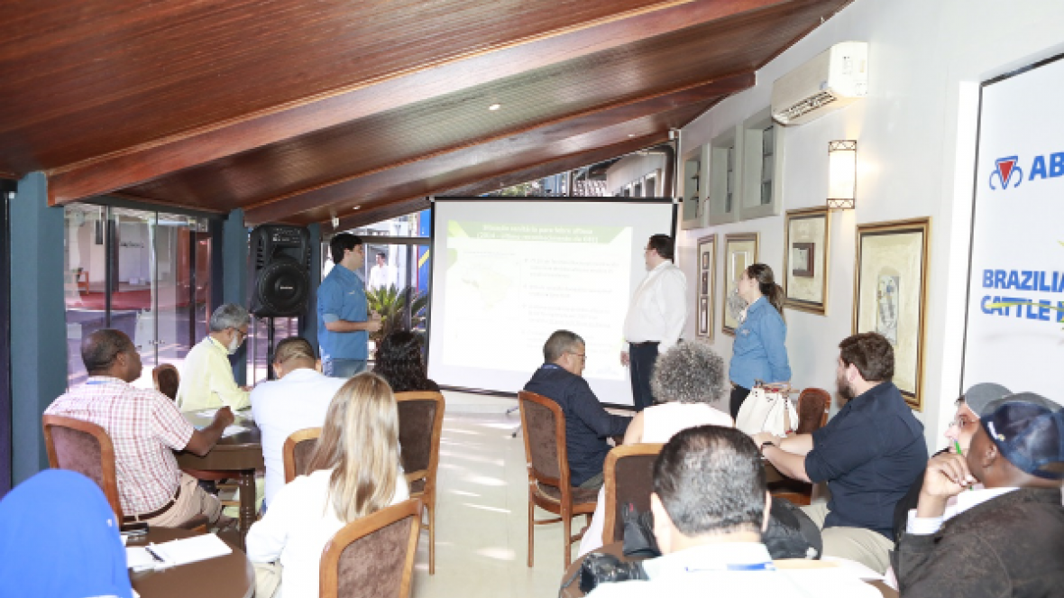 Brasil abre mais um mercado para genética zebuína, com participação da ABCZ