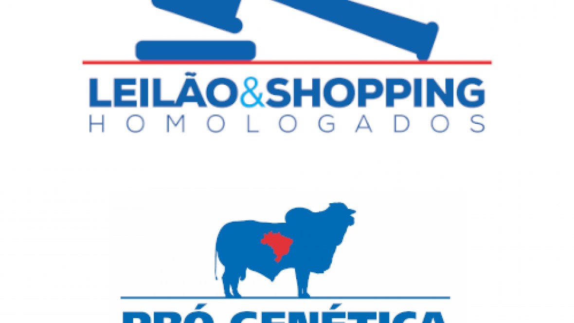 9º Leilão Virtual Fazenda Nortão e Fazenda Terra Boa acaba de ser homologado pela ABCZ 