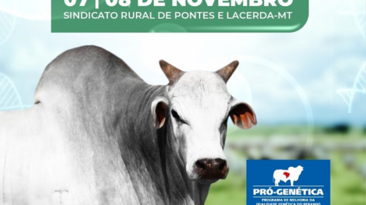 ?1º Shopping Genética TETO? irá ofertar mais de 30 animais Nelore e Nelore Mocho