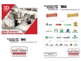 30º Leilão Fazenda Sant'anna ofertará animais melhoradores
