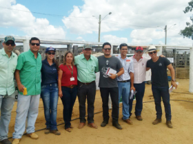 Pró-Genética comercializa mais de 80 animais em 10 dias