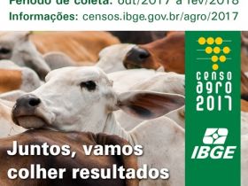 Censo Agropecuário já movimenta propriedades rurais em todo o país