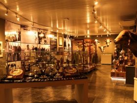 Exposição itinerante do Museu do Zebu marcará Dia de Campo