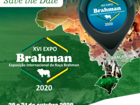 Inscrições abertas para a ExpoBrahman 2020