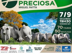 'Leilão Virtual Fazenda Preciosa' acontece na próxima segunda-feira (07)