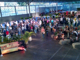 Pesquisadora da ABCZ participa de Simpósio na UFV