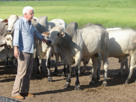 Pecuária perde criador Ricardo Alonso