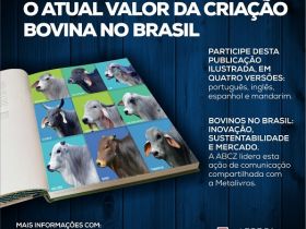 ABCZ lidera ação compartilhada de valorização do rebanho nacional