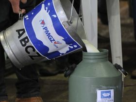 Definidas novas regras para os concursos leiteiros