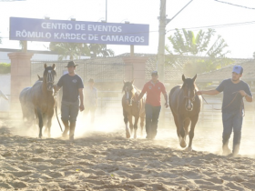 Os crioulos já estão no Parque Fernando Costa