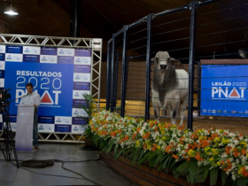 ExpoGenética 2020: ABCZ divulga resultados do PNAT 2020 