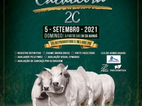 ‘Leilão Virtual Touros Cachoeira 2C’ será realizado no próximo domingo (5)