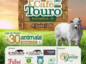 Nelore Leiria promove leilão com chancela do PMGZ