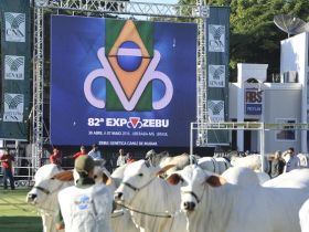 Genética zebu valorizada e desafios da pecuária movimentam a 82ª Expozebu