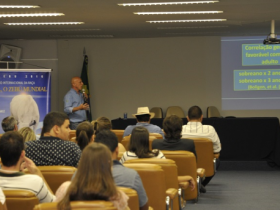 Indubrasil aborda caminhos da seleção da raça