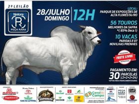?2º Leilão de Touros e Novilhas Nelore PO da Peça Rara Agropecuária?, será realizado no domingo (28)