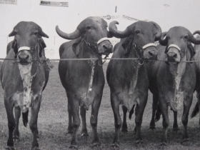 Estação João Pessoa comemora 100 anos e recebe reconhecimento da ABCZ