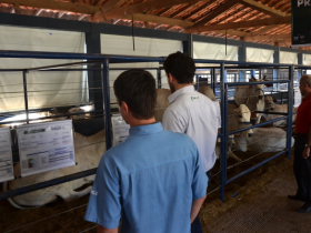 Inscrições para ExpoGenética vão até 31 de julho