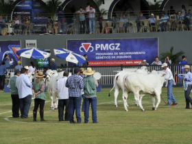 PMGZ terá ponto de atendimento e palestra na ExpoZebu