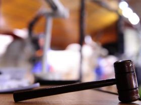 Leilões da Expogenética já faturaram mais de R$15 milhões 