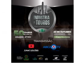 Rima Agropecuária oferta 50 touros Nelore PO no próximo domingo (23), em leilão com retransmissão pela ABCZ TV