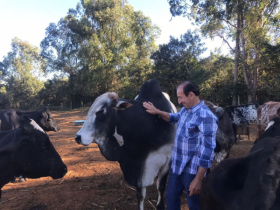 Produtores de Minas Gerais comemoram resultados do Pró-Genética