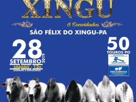 ?13º Leilão Joias do Xingu e convidados? vai ofertar mais de 50 touros PO