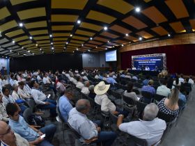 18º ExpoGenética: 5º Encontro Nacional de Criadores do PMGZ será destaque na programação