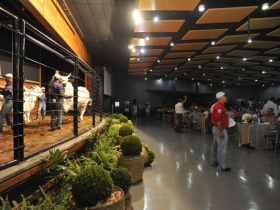 Leilões da ExpoZebu 2015 atingem quase R$17 milhões