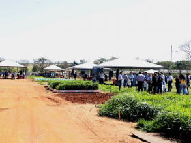 Dia de Campo da ExpoZebu Dinâmica viabiliza negócios e eleva público