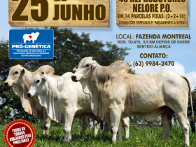 Feira em Tocantins oferta touros do PMGZ com chancela do Pró-Genética 