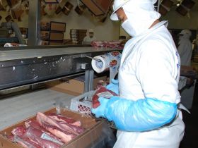 Decisão dos EUA abre mercado de carne bovina in natura para 13 estados e o DF