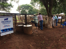 Encerrado o calendário Pró-Genética 2015 