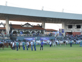 Definido o corpo de jurados da 82ª ExpoZebu 