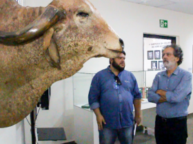 ABCZ recebe cineasta que irá produzir documentário sobre o Zebu