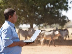 ABCZ anuncia novidades na área técnica