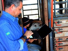 PMGZ lança nova ferramenta para análise intrarrebanho