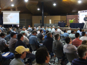 Cerca de 200 jurados passam por atualização na ABCZ