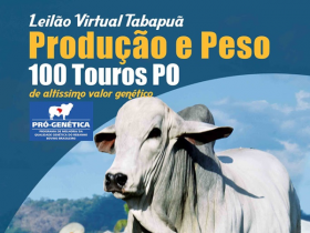 Setembro terá 7 leilões chancelados pelo Pró-Genética