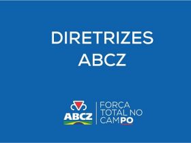 DIRETRIZES ABCZ