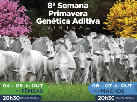 8º Leilão Semana Primavera Genética Aditiva é nesta segunda (4)