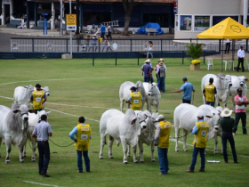 44ª Expoinel premiará os melhores expositores do Ranking por região