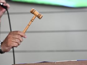 Leilões da 90ª ExpoZebu já movimentaram mais de R$ 45 milhões