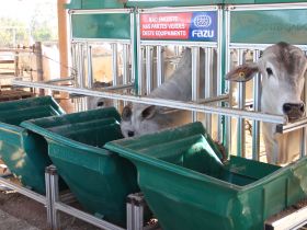 Inscrições para o PNAT 2022 terminam na próxima sexta-feira (25)